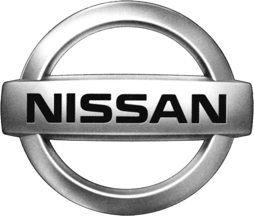Nissan Cam Krikosu